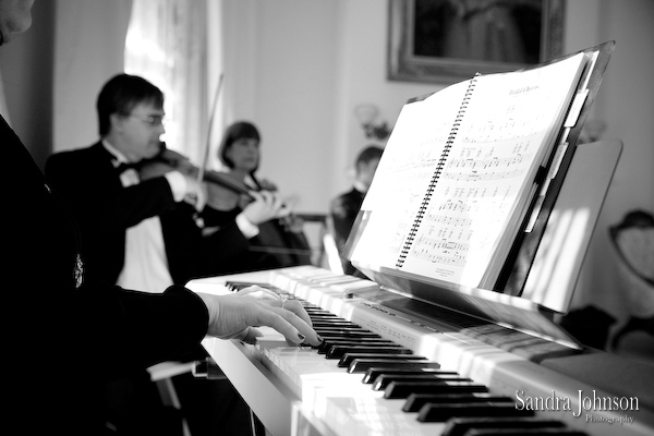 Best Nottoway Plantation Wedding photographer - Sandra Johnson (SJFoto.com)